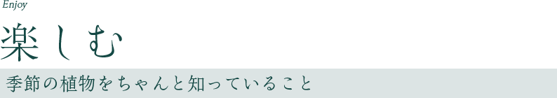 楽しむ