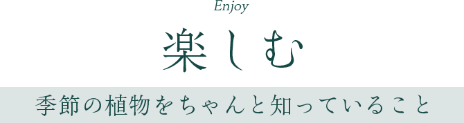 楽しむ