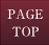 PAGETOP