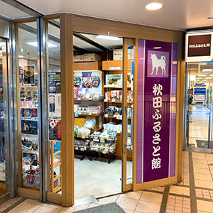 秋田ふるさと館