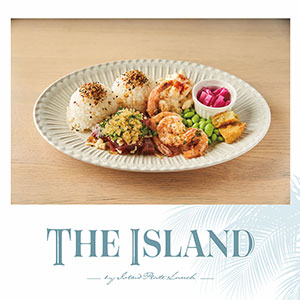THE ISLAND